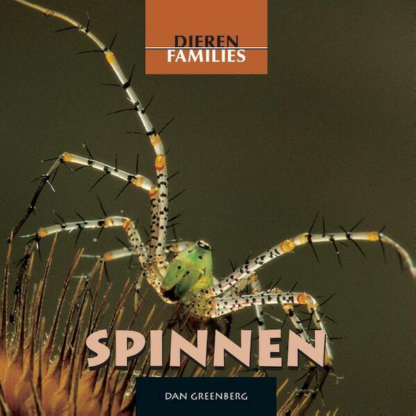 Dierenfamilies (10-16 jaar) Spinnen - Dan Greenberg (ISBN 9789055663385)