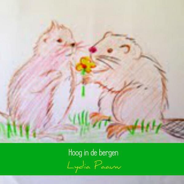 Hoog in de bergen - Lydia Paauw (ISBN 9789402102260)