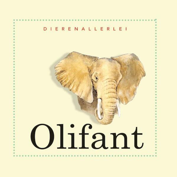 Olifant - Jinny Johnson (ISBN 9789055662043)