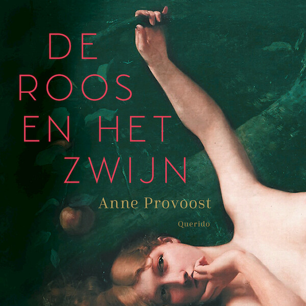 De Roos en het Zwijn - Anne Provoost (ISBN 9789045129525)