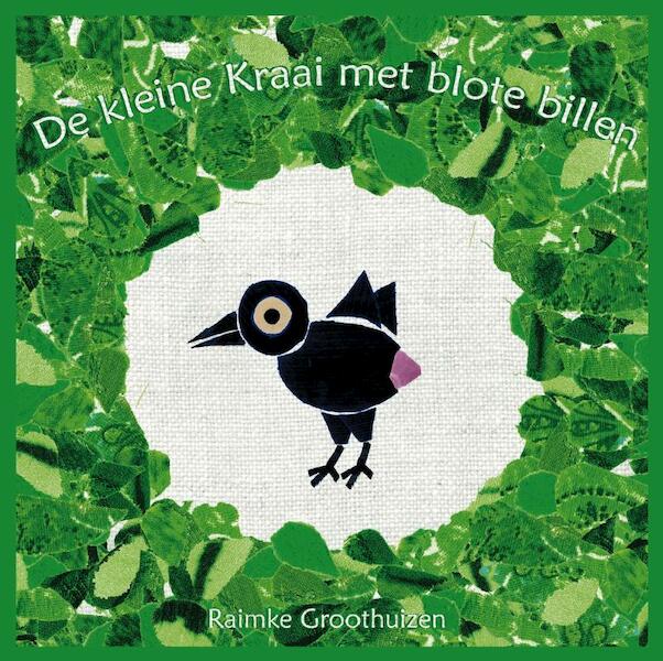 De kleine Kraai met de blote billen - Raimke Groothuizen (ISBN 9789081957212)