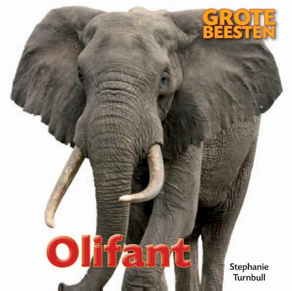 Olifant - Stephanie Turnbull (ISBN 9789461750686)