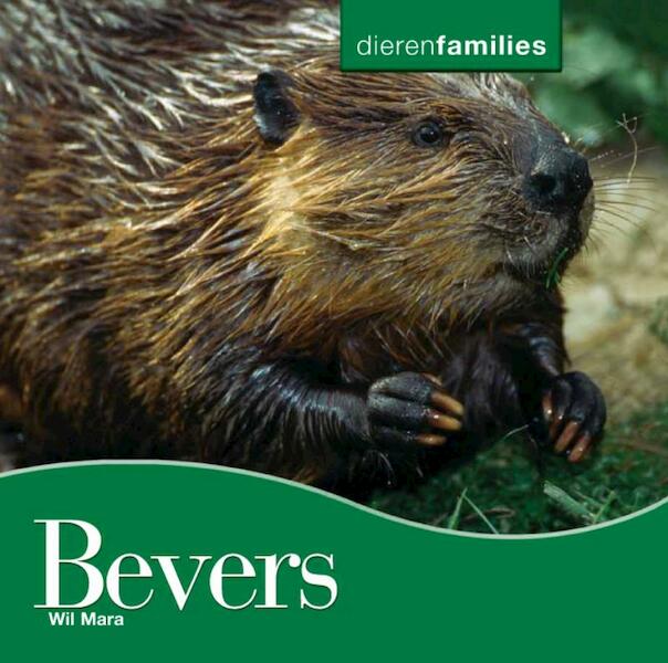 Dierenfamilies (10-16 jaar) Bevers - Wil Mara (ISBN 9789055663217)