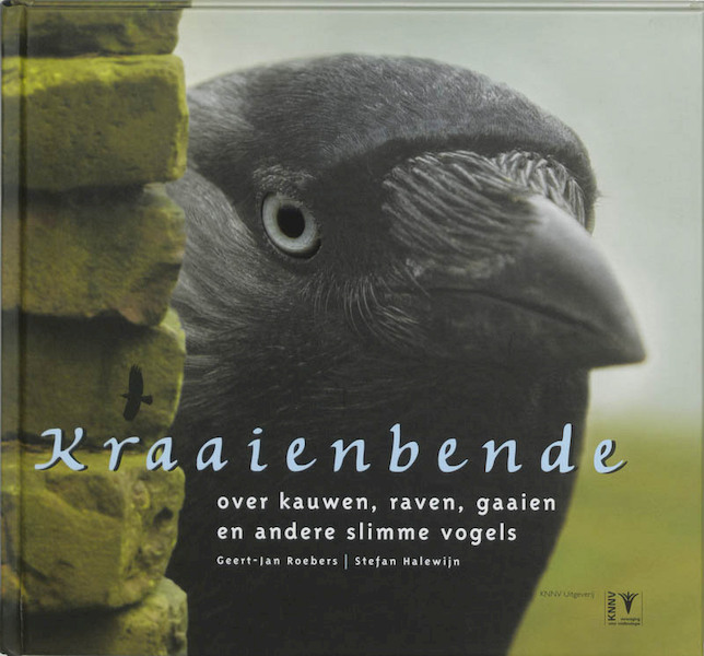 Kraaienbende - Geert-Jan Roebers, Stefan Halewijn (ISBN 9789050112291)