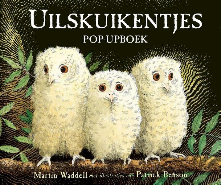 Uilskuikentjes - Martin Waddell (ISBN 9789025757939)