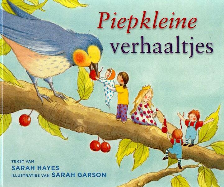 Piepkleine verhaaltjes - Sarah Hayes (ISBN 9789053418642)