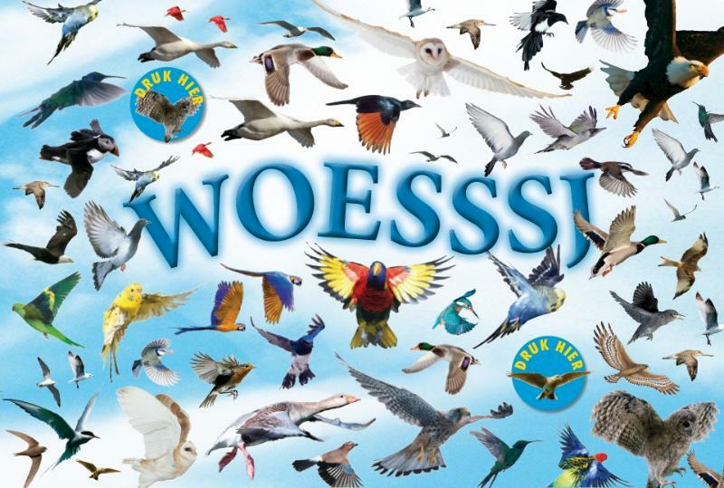 Woesssj - (ISBN 9789025747336)