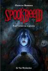 Spookbeeld (e-Book) - Christien Boomsma (ISBN 9789051162875)